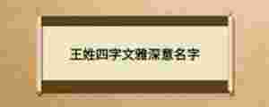 王姓四字文雅深意名字