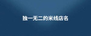 獨(dú)一無二的米線店名