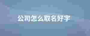 公司怎么取名好字