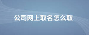 公司網上取名怎么取