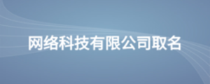 網(wǎng)絡(luò)科技有限公司取名