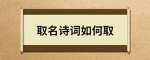 取名詩(shī)詞如何取