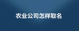 農業公司怎樣取名