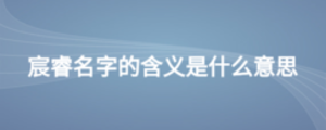 宸睿名字的含義是什么意思