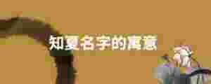 知夏名字的寓意