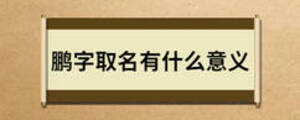 鵬字取名有什么意義
