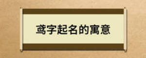 鳶字起名的寓意