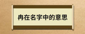 冉在名字中的意思