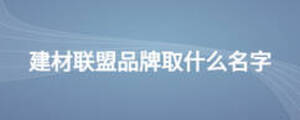 建材聯(lián)盟品牌取什么名字