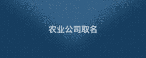公司1 (1).png