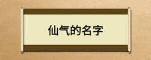 仙氣的名字