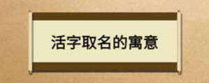 活字取名的寓意