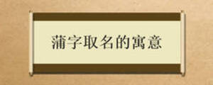蒲字取名的寓意