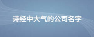 詩經中大氣的公司名字