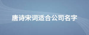 唐詩(shī)宋詞適合公司名字