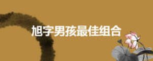 旭字男孩最佳組合