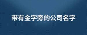 帶有金字旁的公司名字