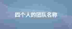 四個(gè)人的團(tuán)隊(duì)名稱(chēng)