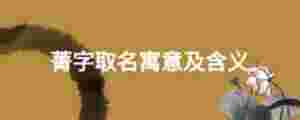菁字取名寓意及含義
