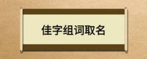 佳字組詞取名