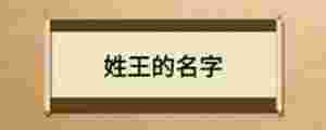 姓王的名字