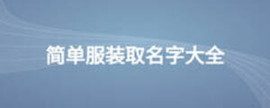 簡單服裝取名字大全