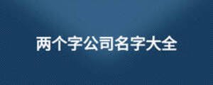 兩個字公司名字大全