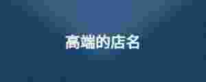 高端的店名