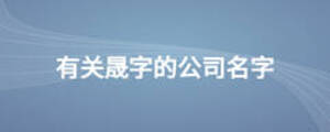 有關晟字的公司名字