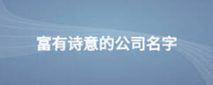 富有詩意的公司名字