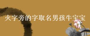 火字旁的字取名男孩牛寶寶