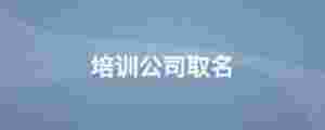 培訓公司取名