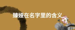 臻婭在名字里的含義