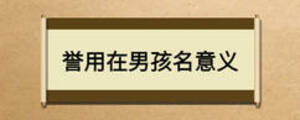 譽用在男孩名意義