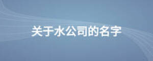 關(guān)于水公司的名字