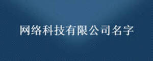 網絡科技有限公司名字