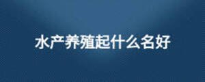 水產養殖起什么名好