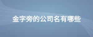 金字旁的公司名有哪些