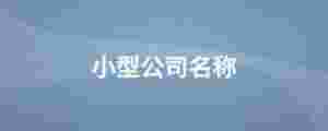 小型公司名稱