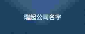 瑞起公司名字