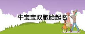 牛寶寶雙胞胎起名