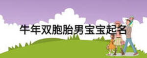 牛年雙胞胎男寶寶起名