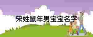 宋姓鼠年男寶寶名字