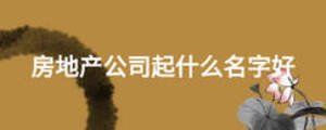 房地產公司起什么名字好