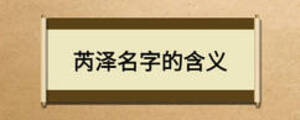 芮澤名字的含義