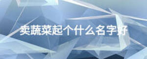 賣蔬菜起個什么名字好