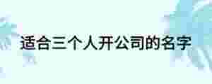 適合三個人開公司的名字