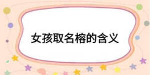 女孩取名榕的含義