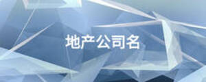 地產(chǎn)公司名
