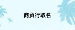 商貿行取名